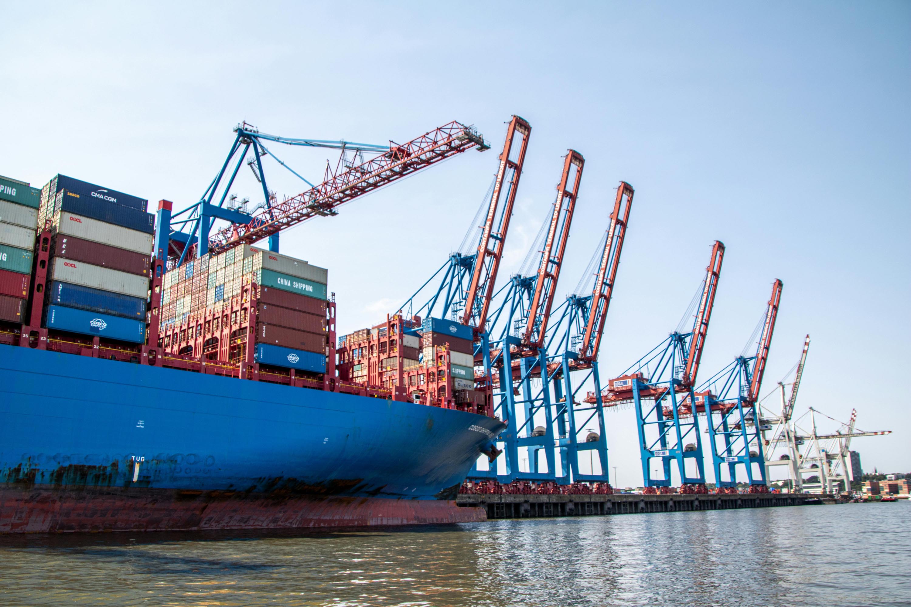 Export & Logistics Service